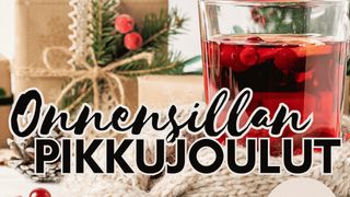 Tapahtuman Onnensillan pikkujoulut kuva