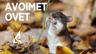 Avoimet ovet Lammin biologisella asemalla