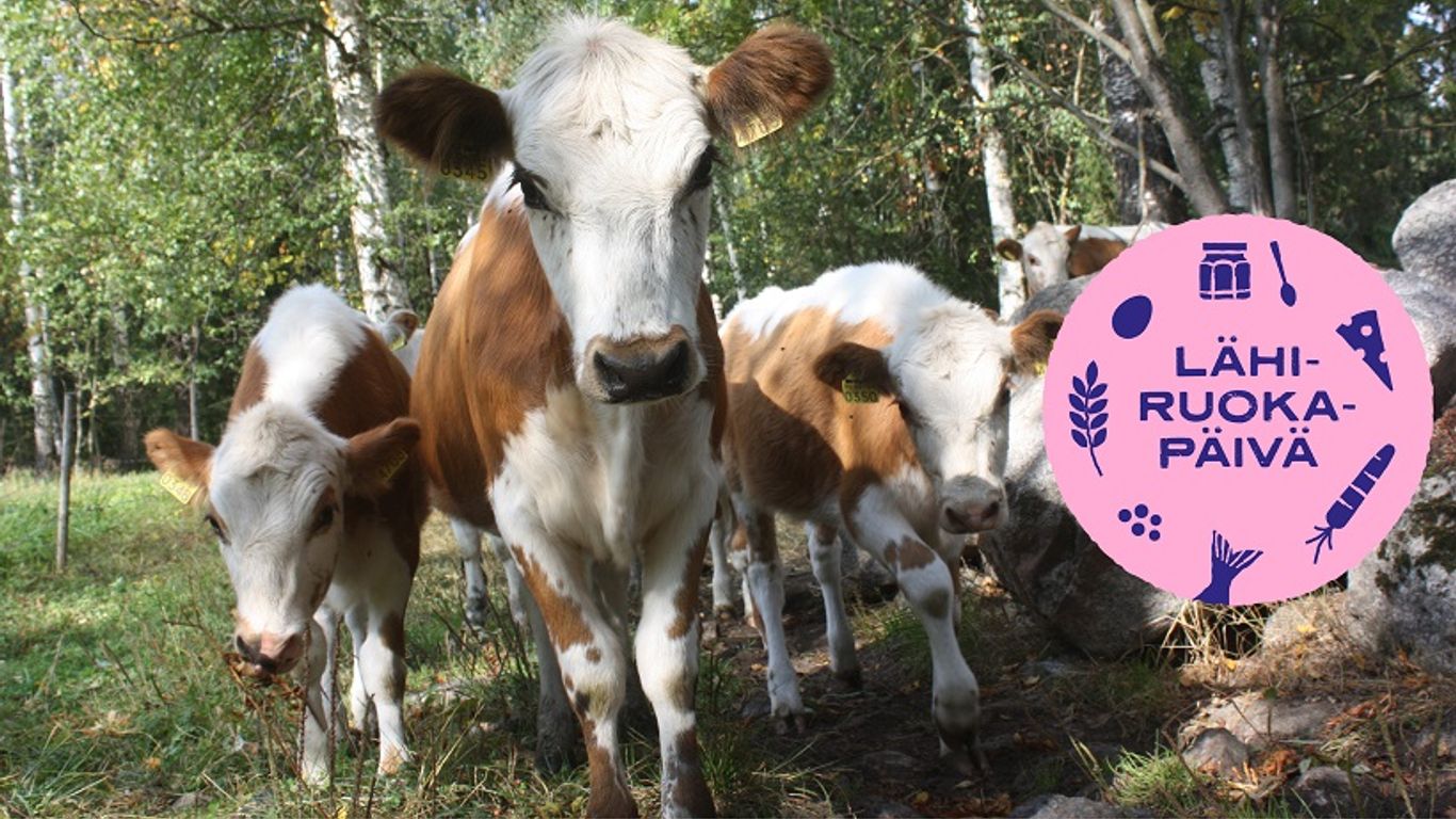 Lähiruokapäivä - Koivurannan lomamökit
