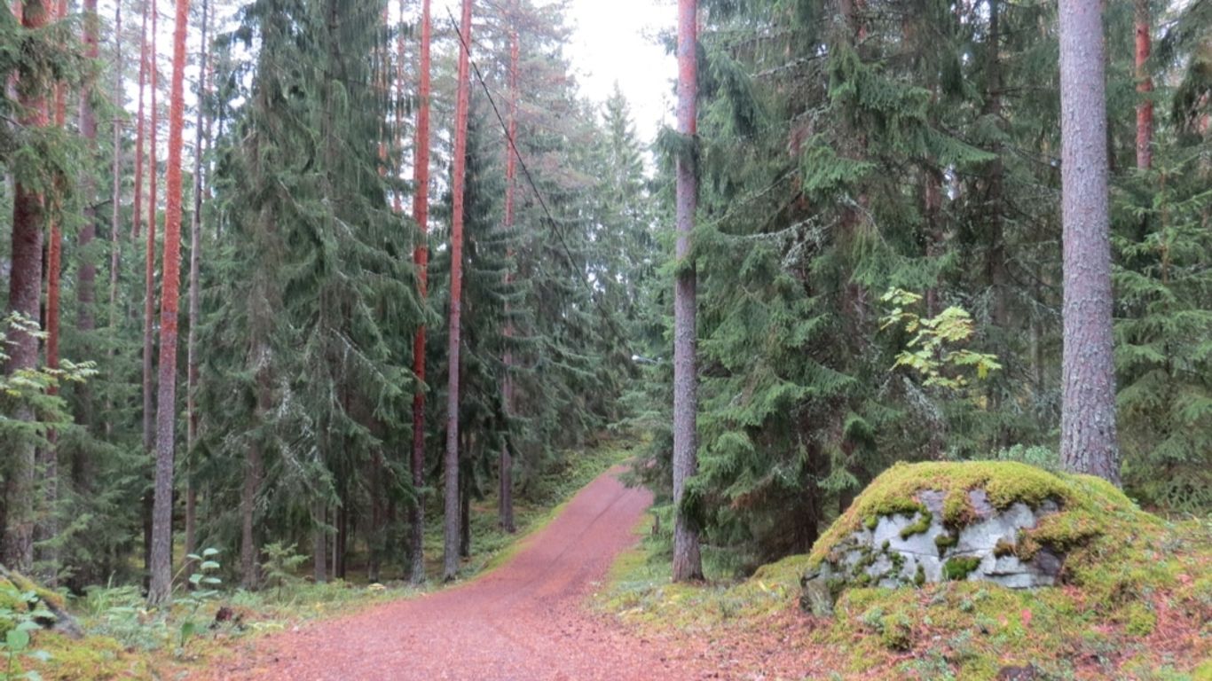 Luontoliikuntatapahtuma - Ilveksen ja seitsemän veljeksen jäljillä