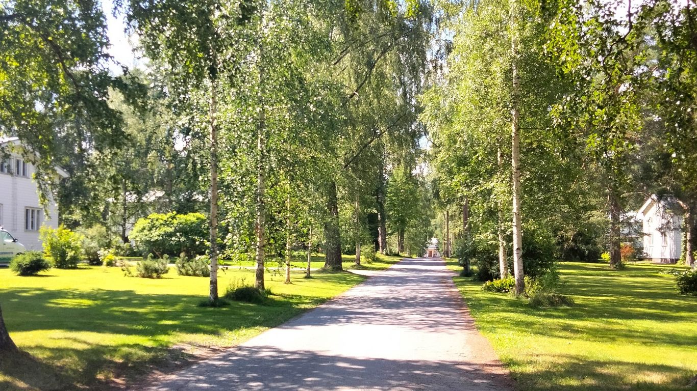 Kuva puistomaisesta kadusta jota reunustaa puut mo