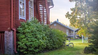 Hyytiälän tutkimuspäivät